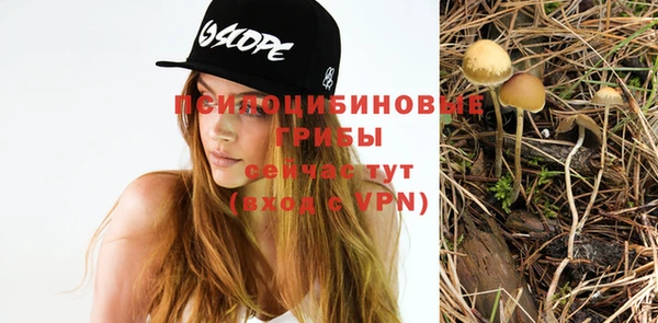гидропоника Бронницы