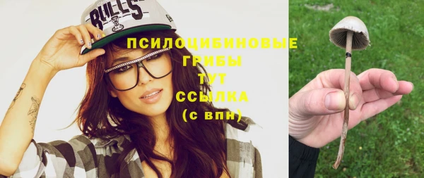 гидропоника Бронницы