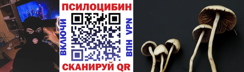 Псилоцибиновые грибы MAGIC MUSHROOMS  Невель 