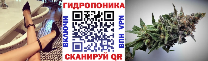 купить наркоту Невель Шишки марихуана White Widow
